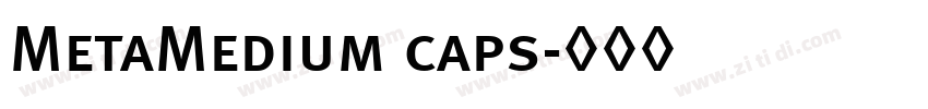 MetaMedium caps字体转换 MetaMedium caps字体转换